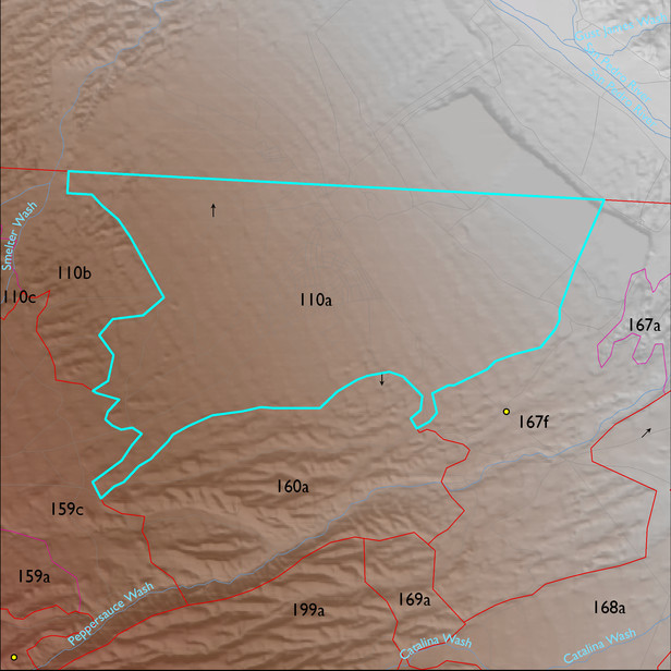 Map with the ELT 110a polygon highlighted.