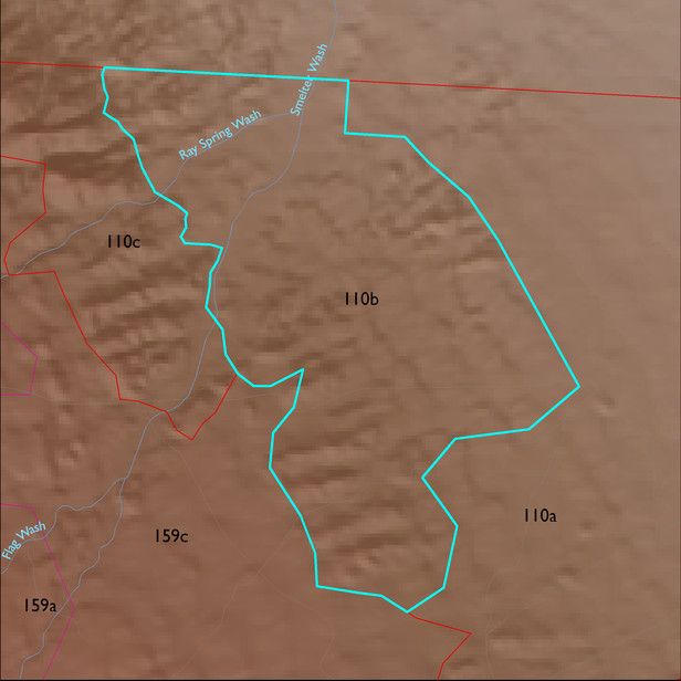Map with the ELT 110b polygon highlighted.