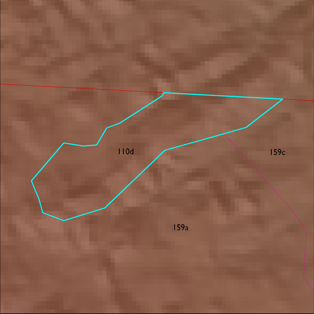 Map with the ELT 110d polygon highlighted.