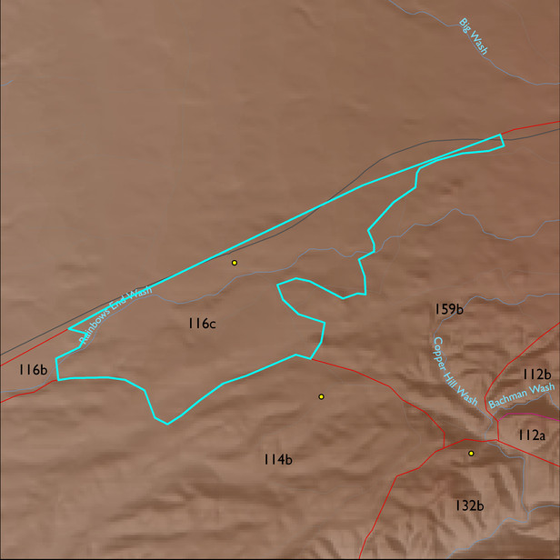 Map with the ELT 116c polygon highlighted.