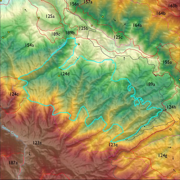 Map with the ELT 124d polygon highlighted.