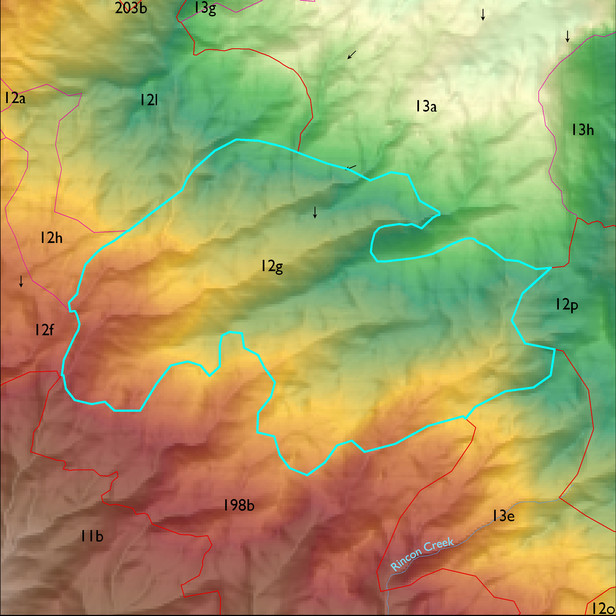 Map with the ELT 12g polygon highlighted.
