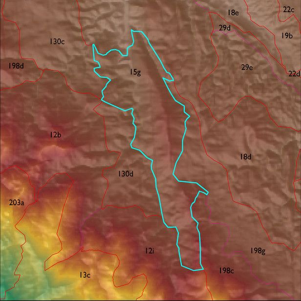 Map with the ELT 15g polygon highlighted.