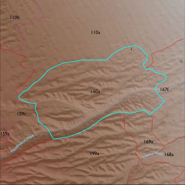 Map with the ELT 160a polygon highlighted.