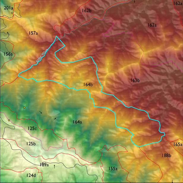 Map with the ELT 164b polygon highlighted.