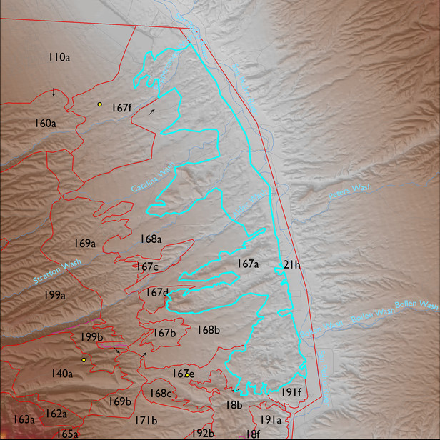 Map with the ELT 167a polygon highlighted.