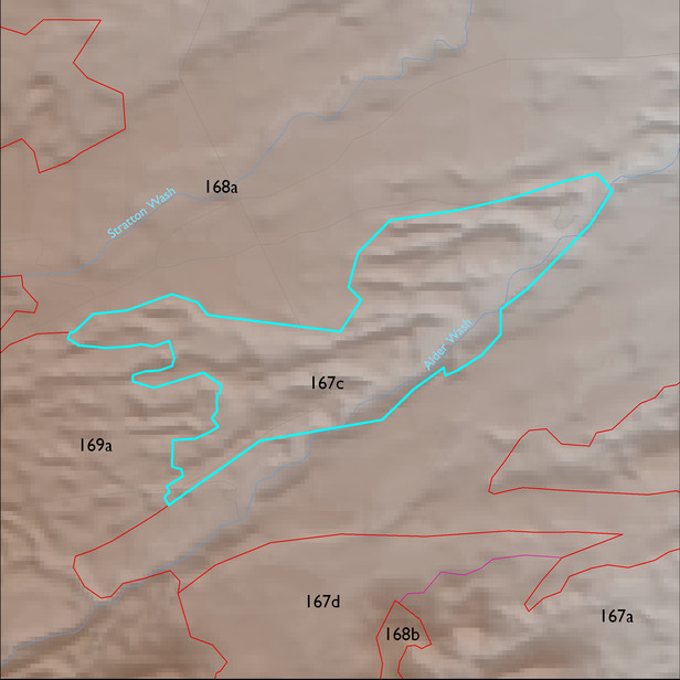 Map with the ELT 167c polygon highlighted.