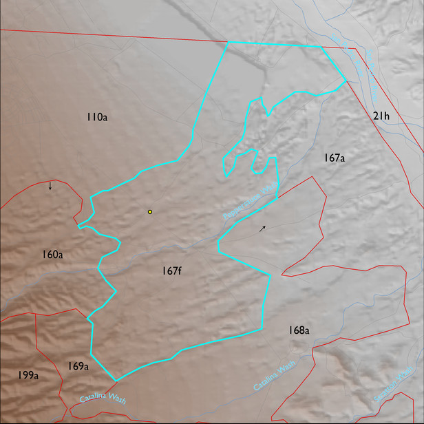 Map with the ELT 167f polygon highlighted.