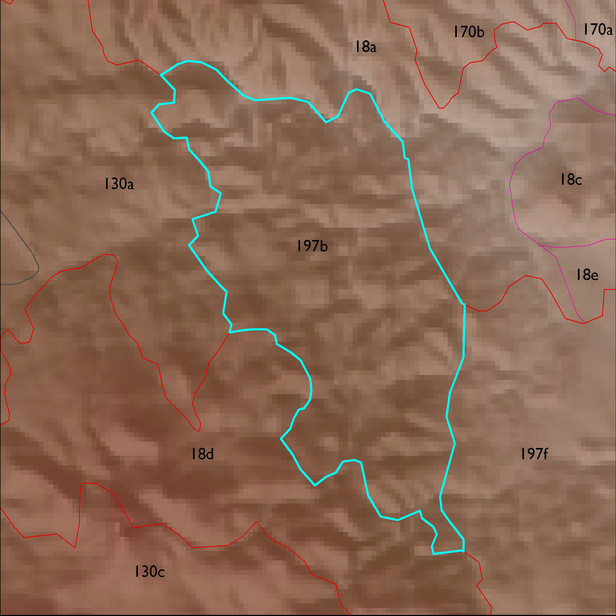 Map with the ELT 197b polygon highlighted.