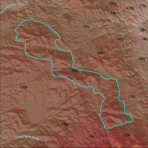Map with the ELT 198d polygon highlighted.