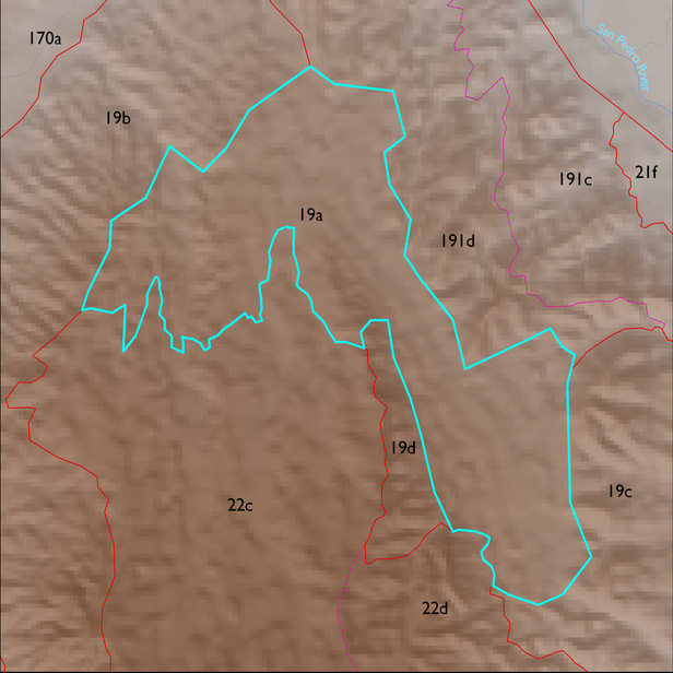 Map with the ELT 19a polygon highlighted.