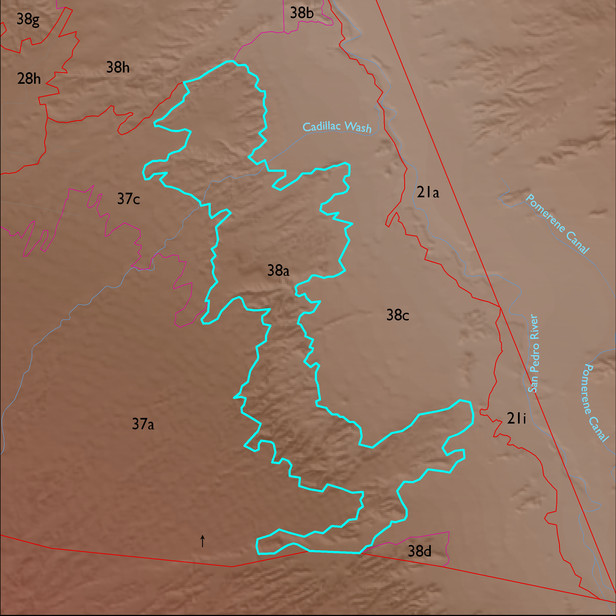 Map with the ELT 38a polygon highlighted.