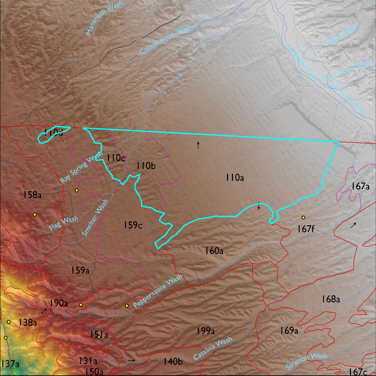 Map with the LTA 110 polygon highlighted.
