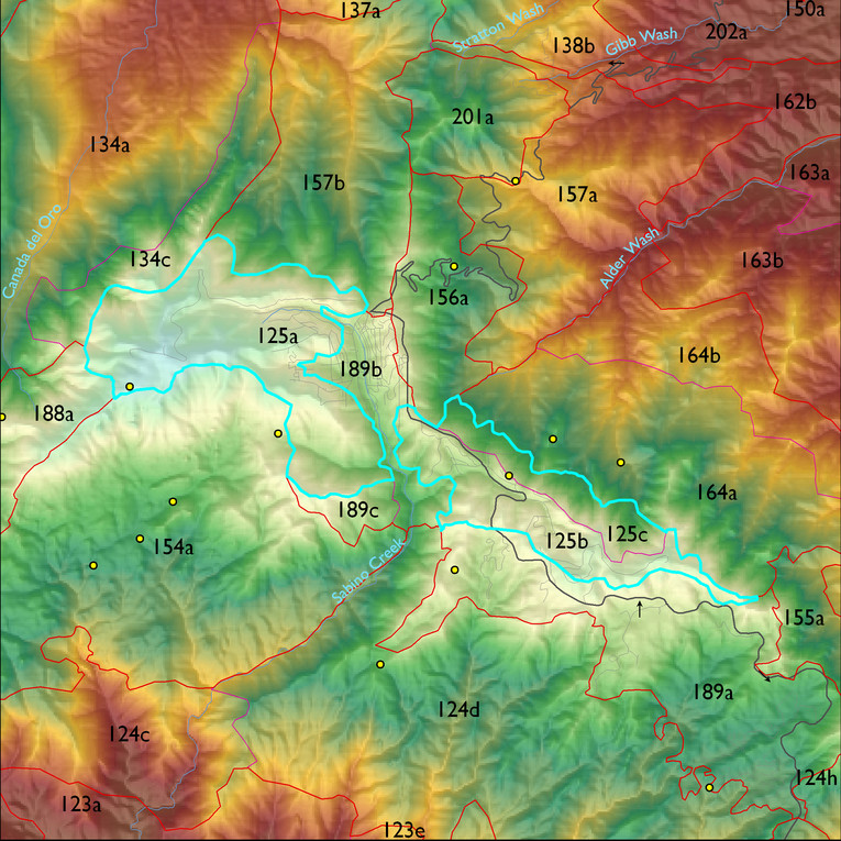 Map with the LTA 125 polygon highlighted.