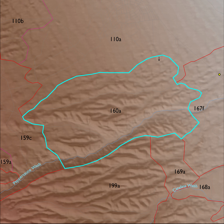 Map with the LTA 160 polygon highlighted.