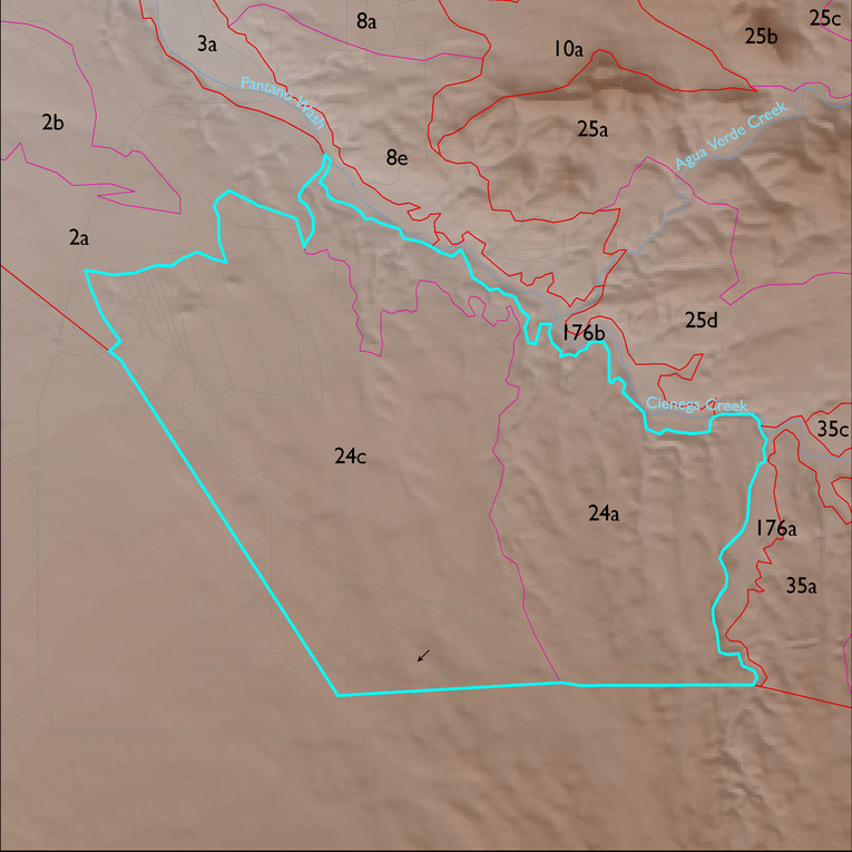 Map with the LTA 24 polygon highlighted.