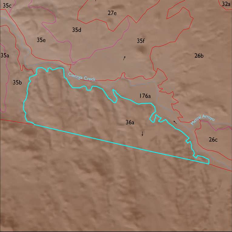 Map with the LTA 36 polygon highlighted.